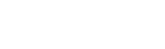 Bragi Brasserie